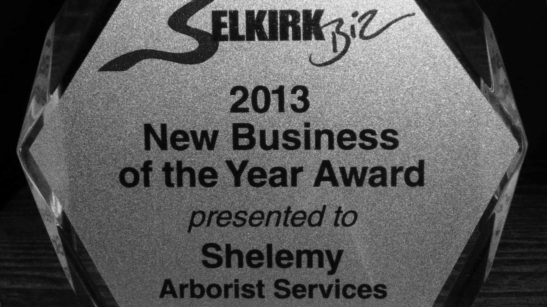 2008 - Shelemy Arborist Services