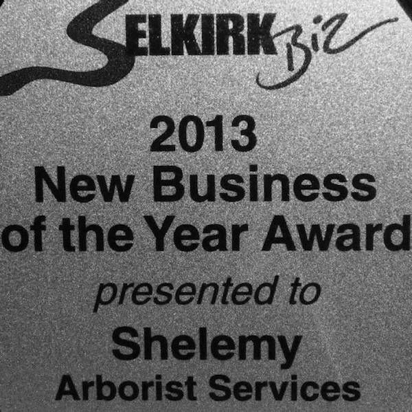 2008 - Shelemy Arborist Services
